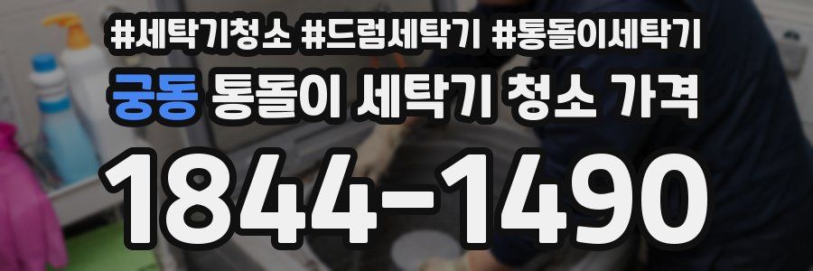 궁동 통돌이 세탁기 청소 가격