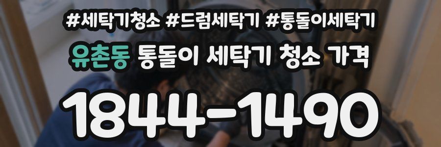 유촌동 통돌이 세탁기 청소 가격