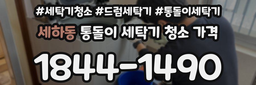 세하동 통돌이 세탁기 청소 가격