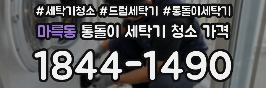 마륵동 통돌이 세탁기 청소 가격