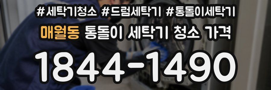 매월동 통돌이 세탁기 청소 가격