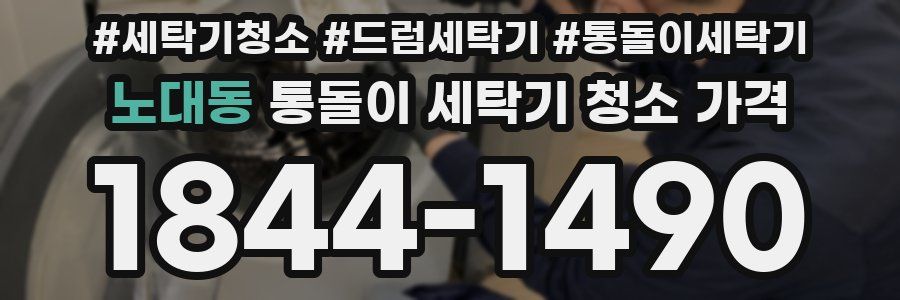노대동 통돌이 세탁기 청소 가격
