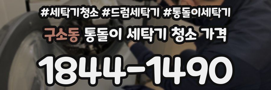 구소동 통돌이 세탁기 청소 가격