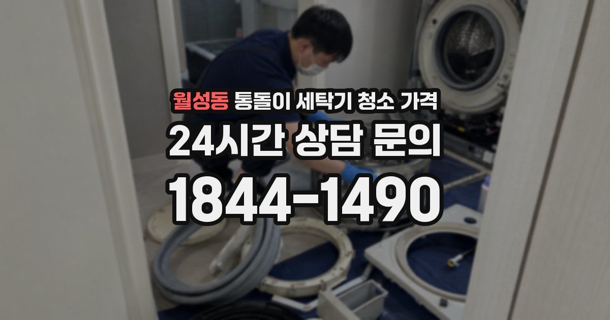 월성동 통돌이 세탁기 청소 가격