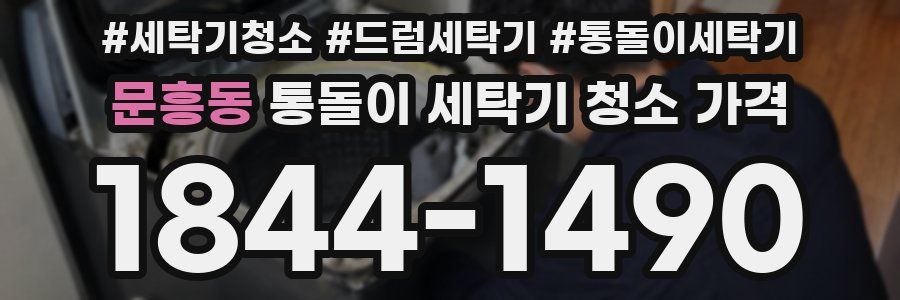문흥동 통돌이 세탁기 청소 가격