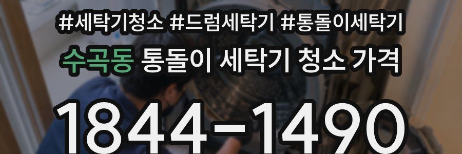 수곡동 통돌이 세탁기 청소 가격