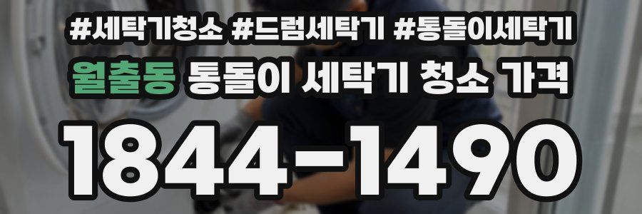 월출동 통돌이 세탁기 청소 가격