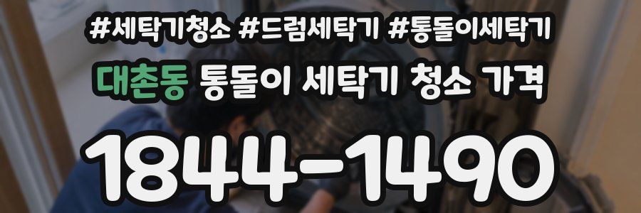 대촌동 통돌이 세탁기 청소 가격