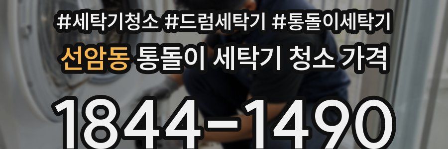 선암동 통돌이 세탁기 청소 가격