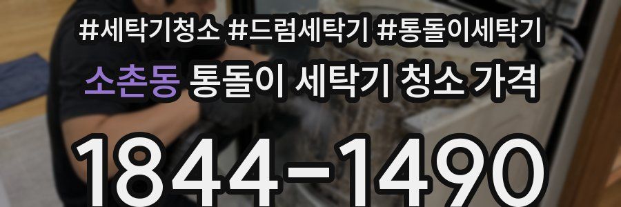 소촌동 통돌이 세탁기 청소 가격