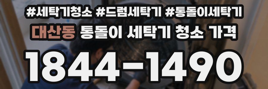 대산동 통돌이 세탁기 청소 가격