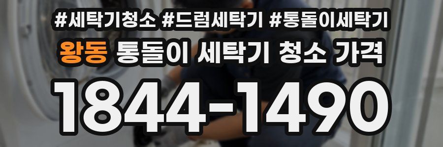 왕동 통돌이 세탁기 청소 가격