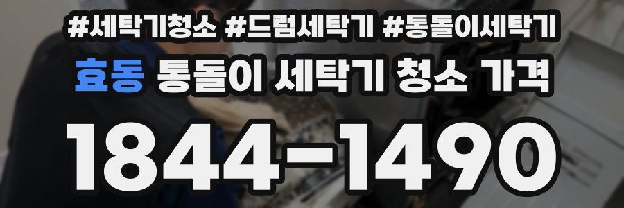 효동 통돌이 세탁기 청소 가격