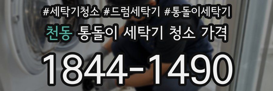 천동 통돌이 세탁기 청소 가격