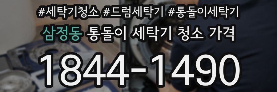 삼정동 통돌이 세탁기 청소 가격