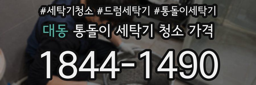 대동 통돌이 세탁기 청소 가격