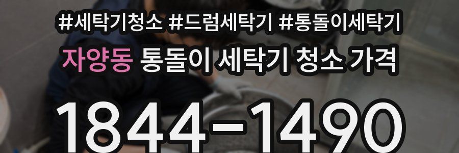 자양동 통돌이 세탁기 청소 가격