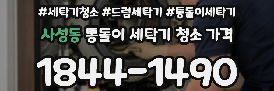 사성동 통돌이 세탁기 청소 가격