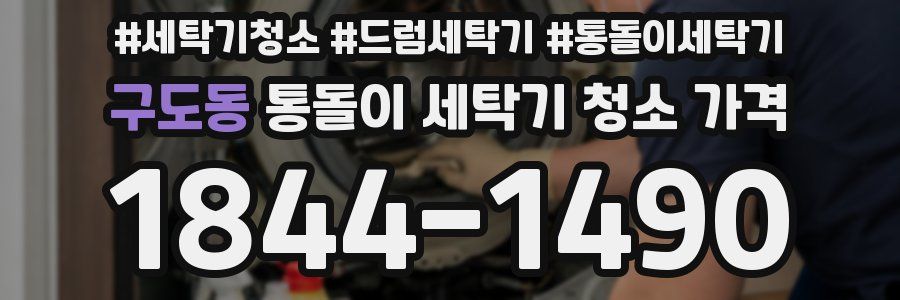 구도동 통돌이 세탁기 청소 가격