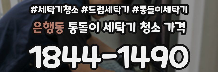 은행동 통돌이 세탁기 청소 가격