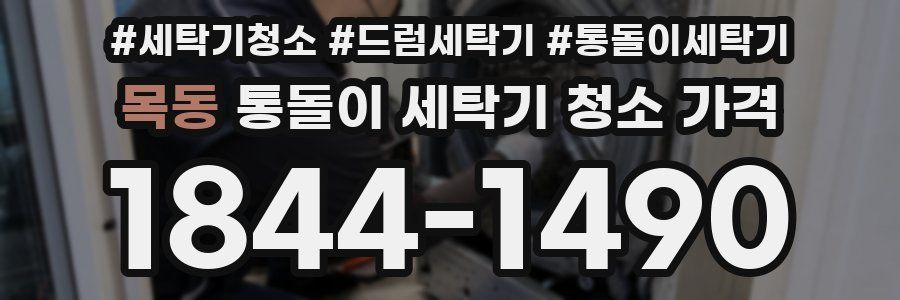 목동 통돌이 세탁기 청소 가격