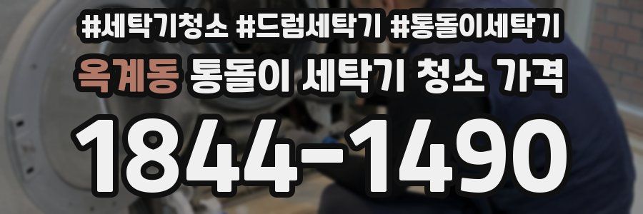 옥계동 통돌이 세탁기 청소 가격