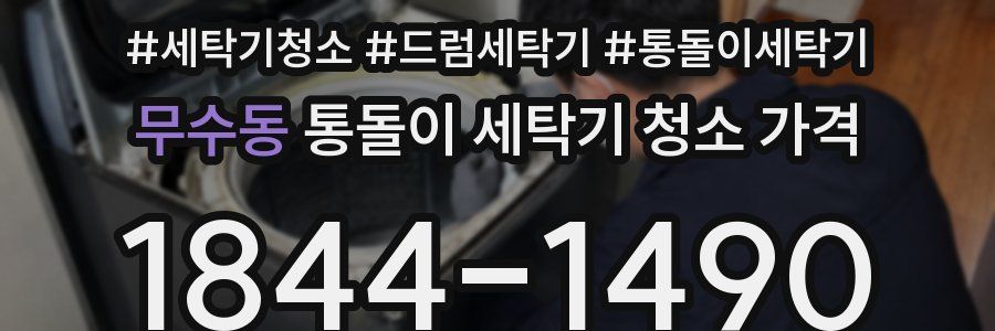 무수동 통돌이 세탁기 청소 가격