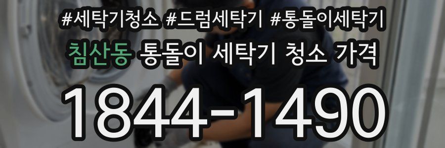 침산동 통돌이 세탁기 청소 가격