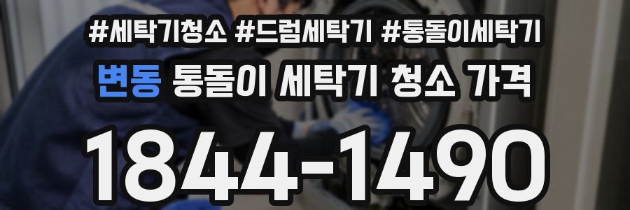 변동 통돌이 세탁기 청소 가격
