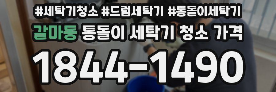 갈마동 통돌이 세탁기 청소 가격