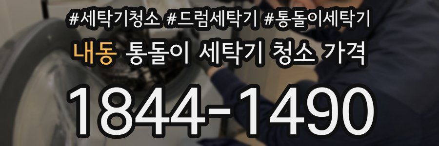 내동 통돌이 세탁기 청소 가격