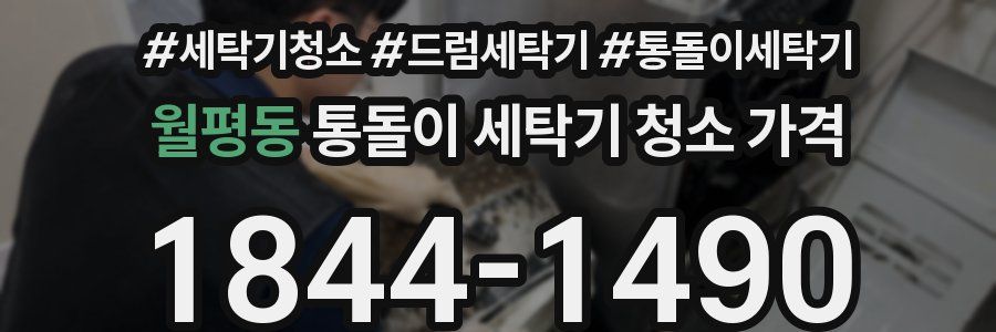 월평동 통돌이 세탁기 청소 가격