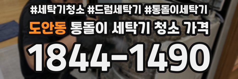 도안동 통돌이 세탁기 청소 가격