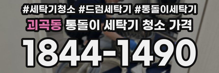 괴곡동 통돌이 세탁기 청소 가격