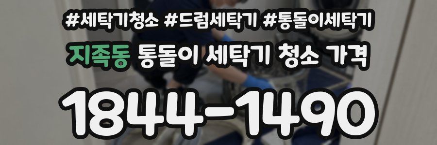 지족동 통돌이 세탁기 청소 가격
