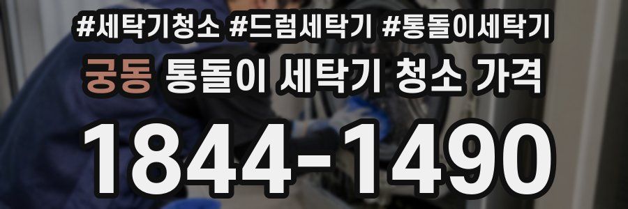 궁동 통돌이 세탁기 청소 가격