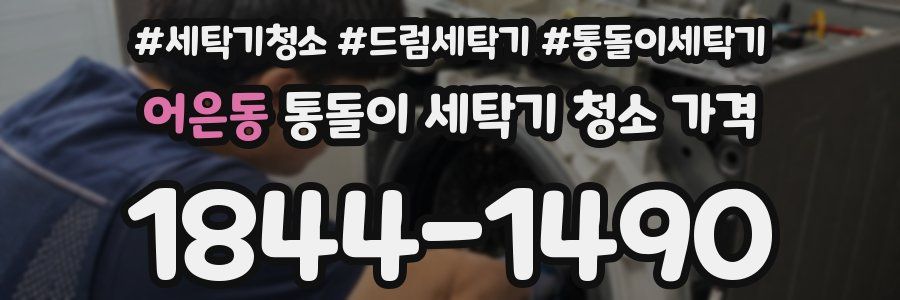 어은동 통돌이 세탁기 청소 가격