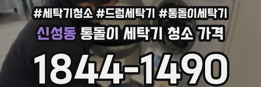 신성동 통돌이 세탁기 청소 가격