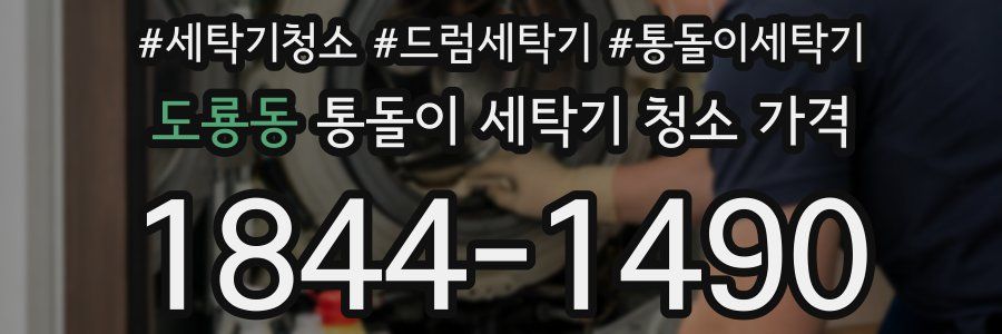 도룡동 통돌이 세탁기 청소 가격