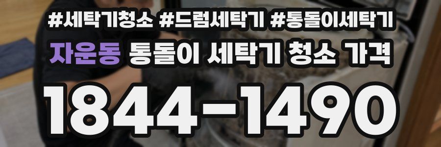 자운동 통돌이 세탁기 청소 가격