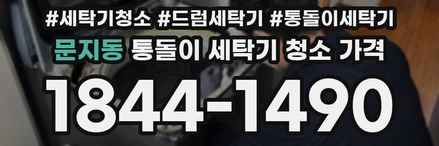 문지동 통돌이 세탁기 청소 가격