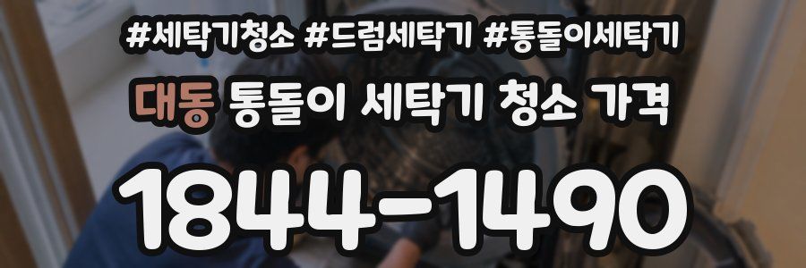 대동 통돌이 세탁기 청소 가격