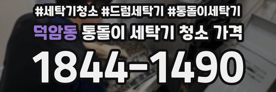 덕암동 통돌이 세탁기 청소 가격