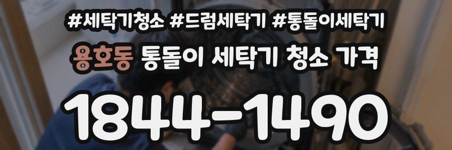 용호동 통돌이 세탁기 청소 가격