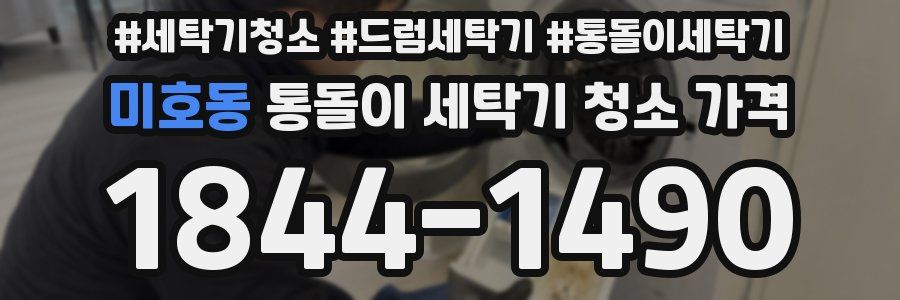미호동 통돌이 세탁기 청소 가격