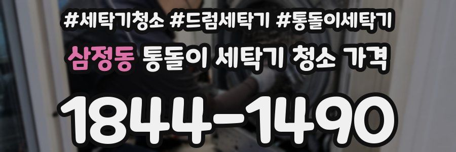 삼정동 통돌이 세탁기 청소 가격
