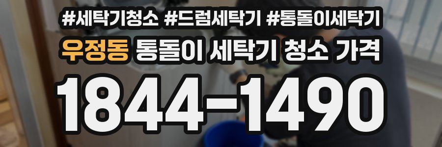 우정동 통돌이 세탁기 청소 가격