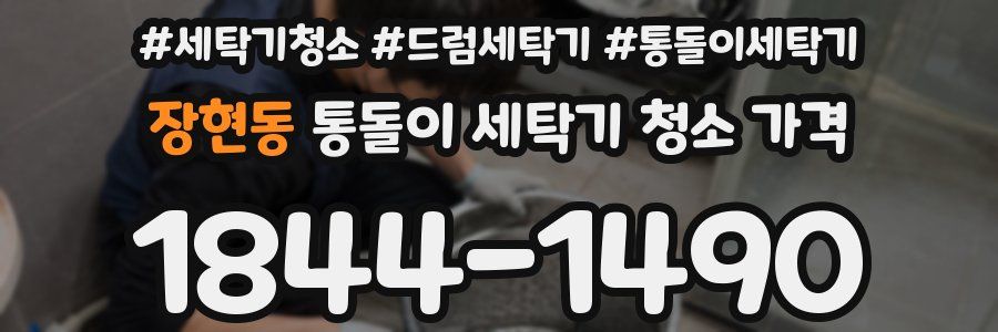 장현동 통돌이 세탁기 청소 가격
