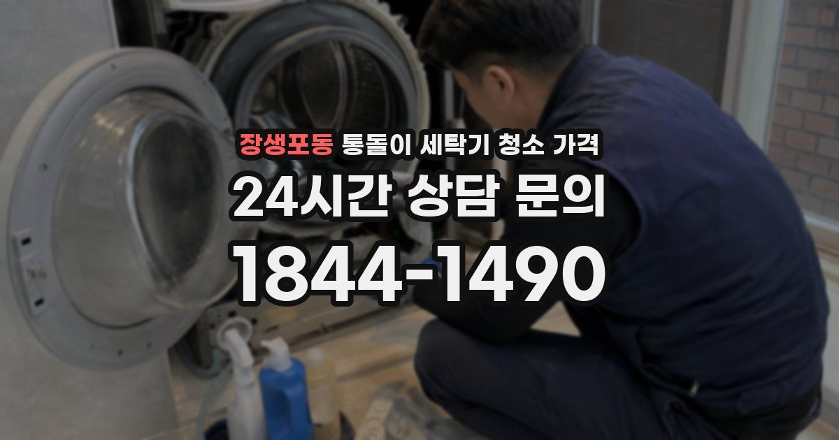 장생포동 통돌이 세탁기 청소 가격