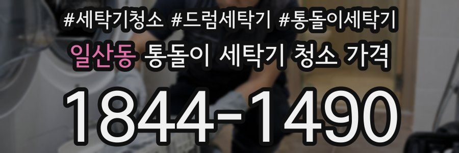 일산동 통돌이 세탁기 청소 가격